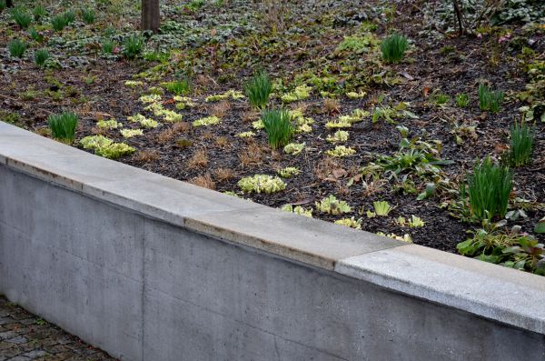 Concrete Wall Construction in Norwalk