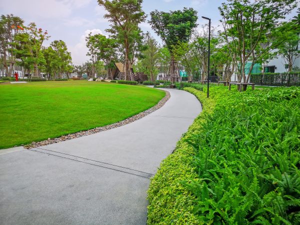 Cement Walkway Service in Norwalk